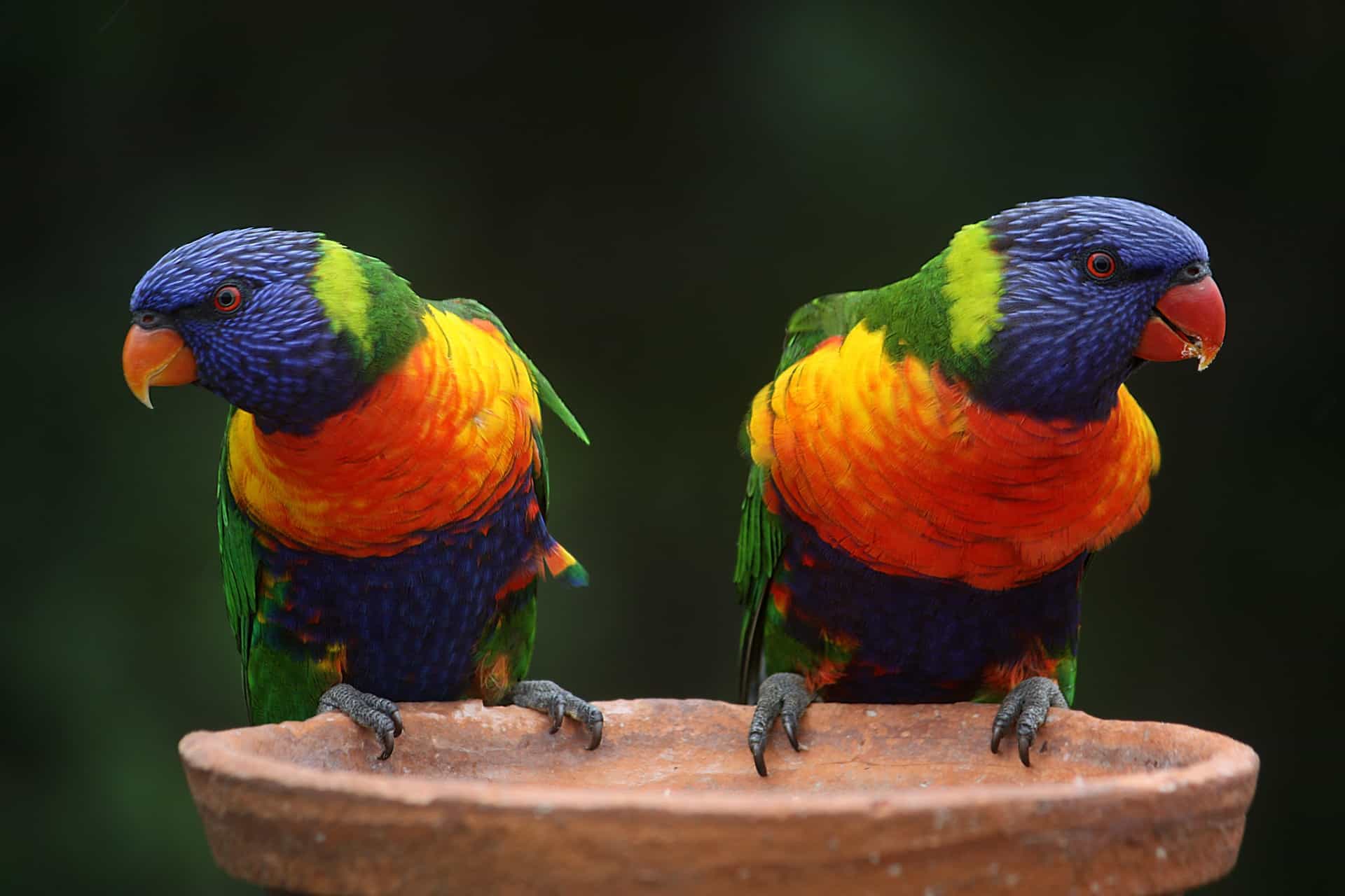 Australia