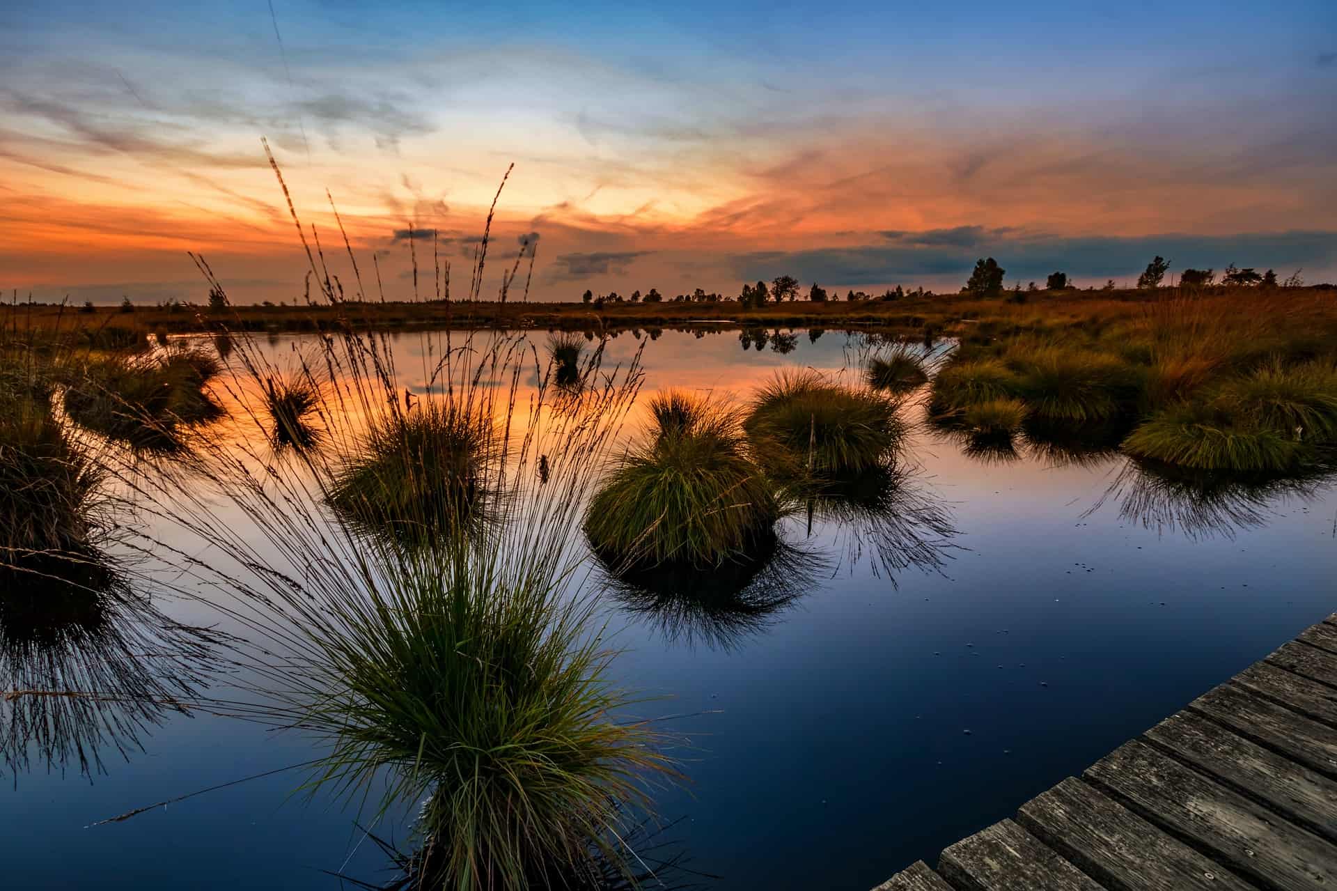 Belgium