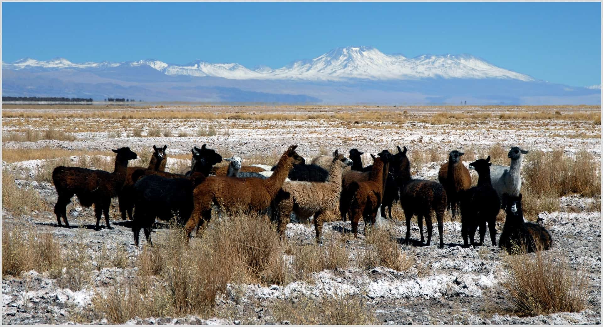 Chile