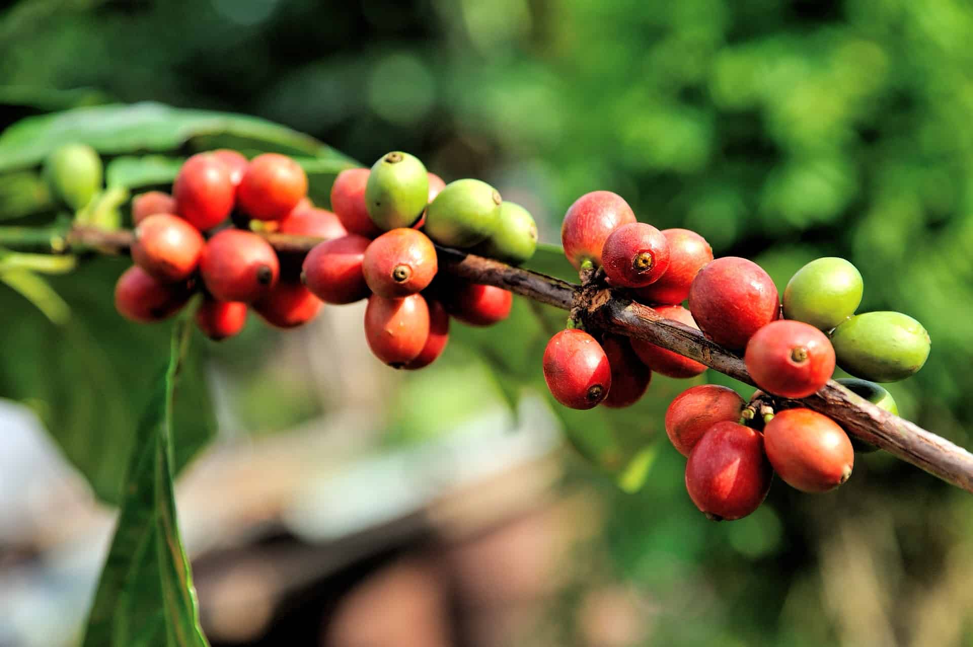 Ecuador