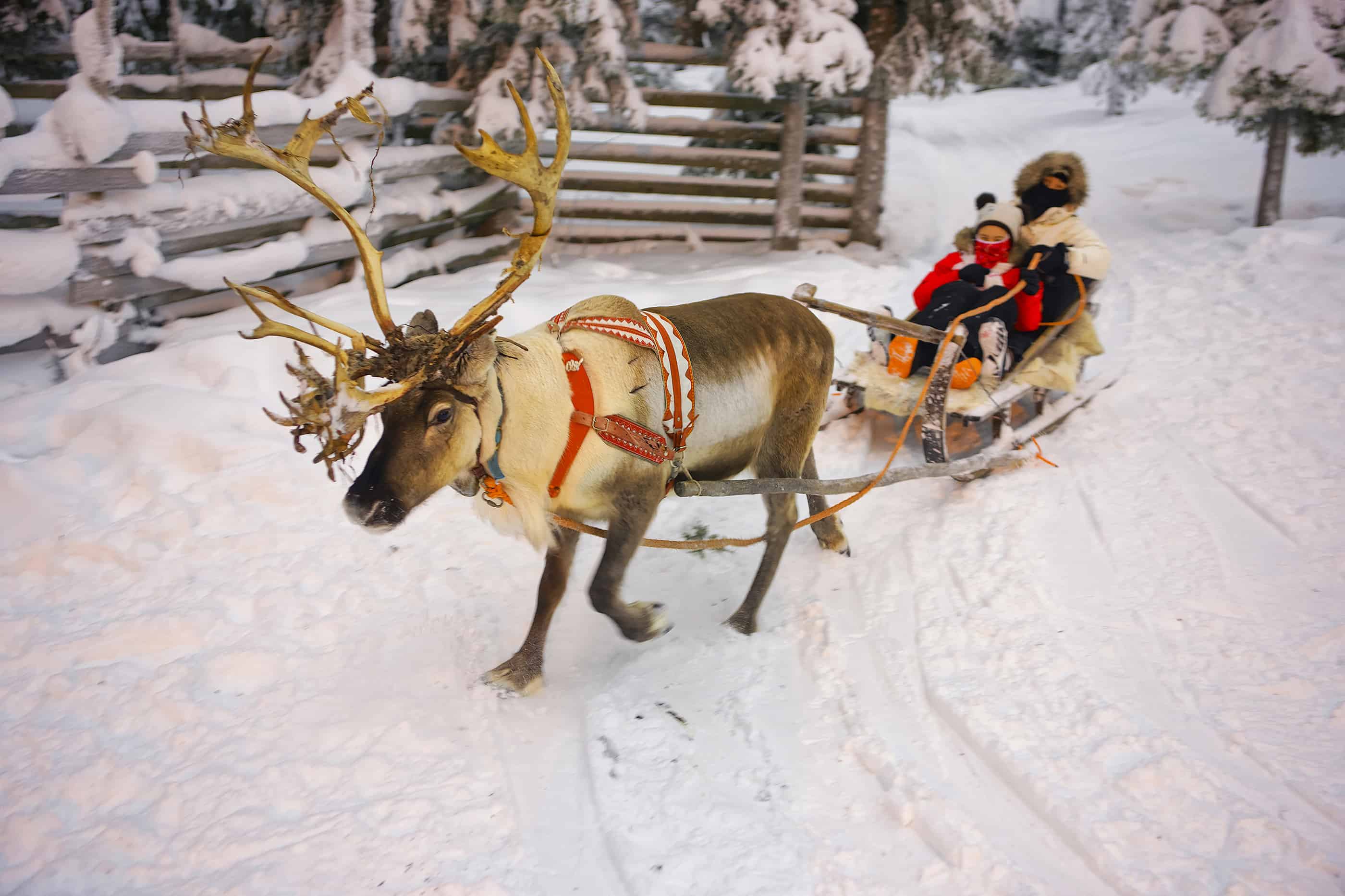 Finland