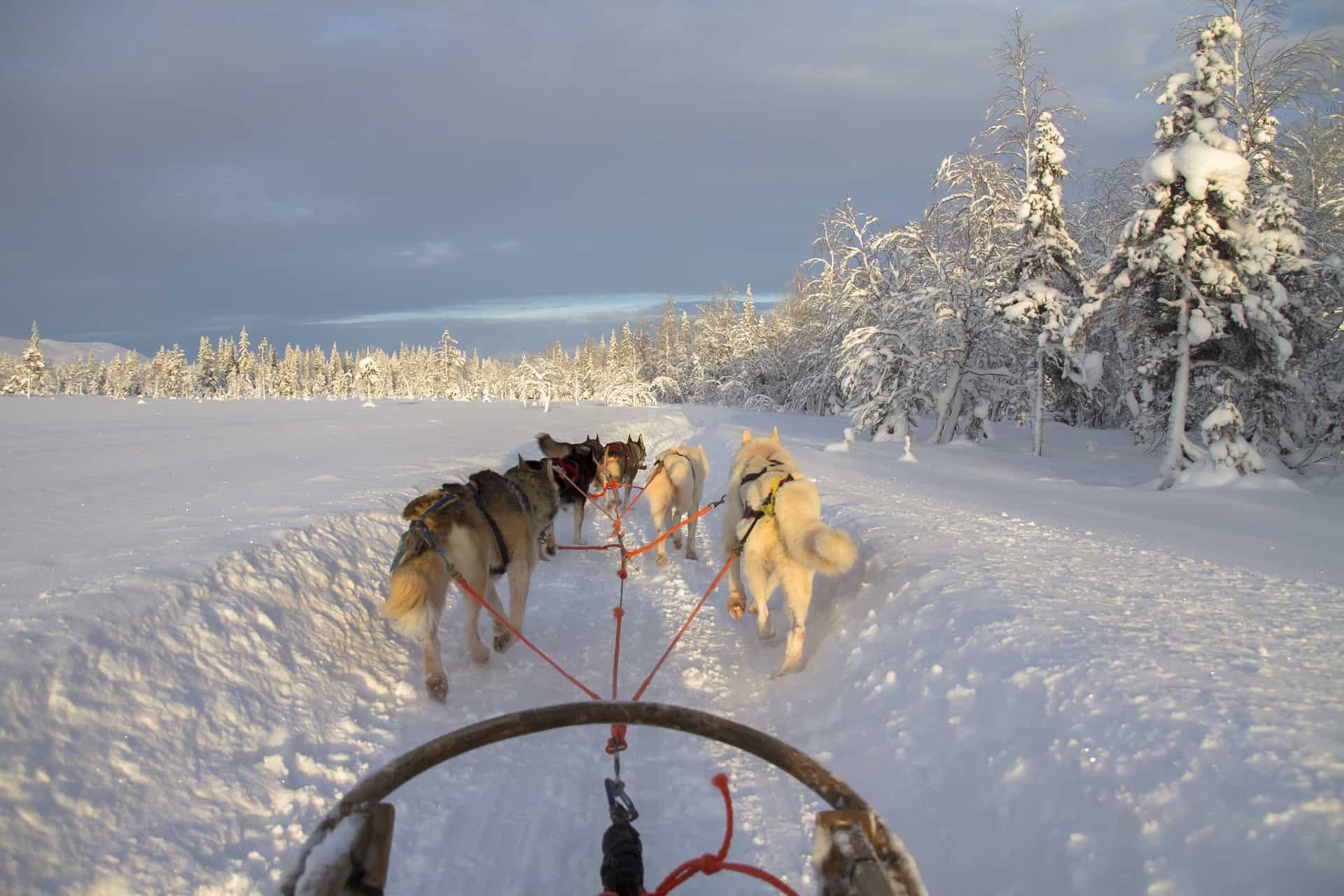 Finland