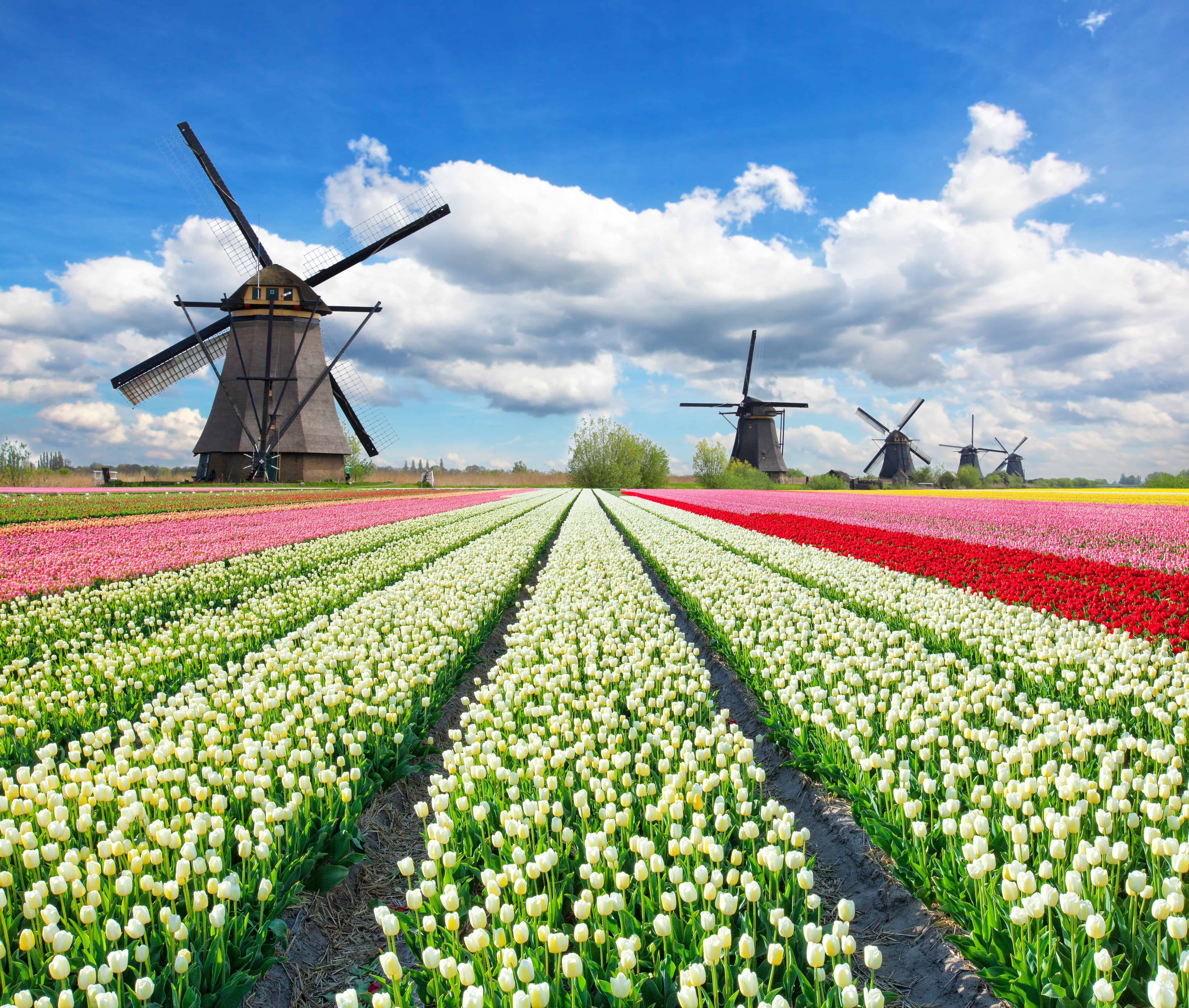 Netherlands