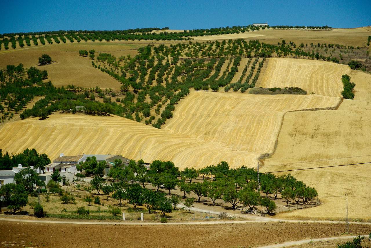 Spain