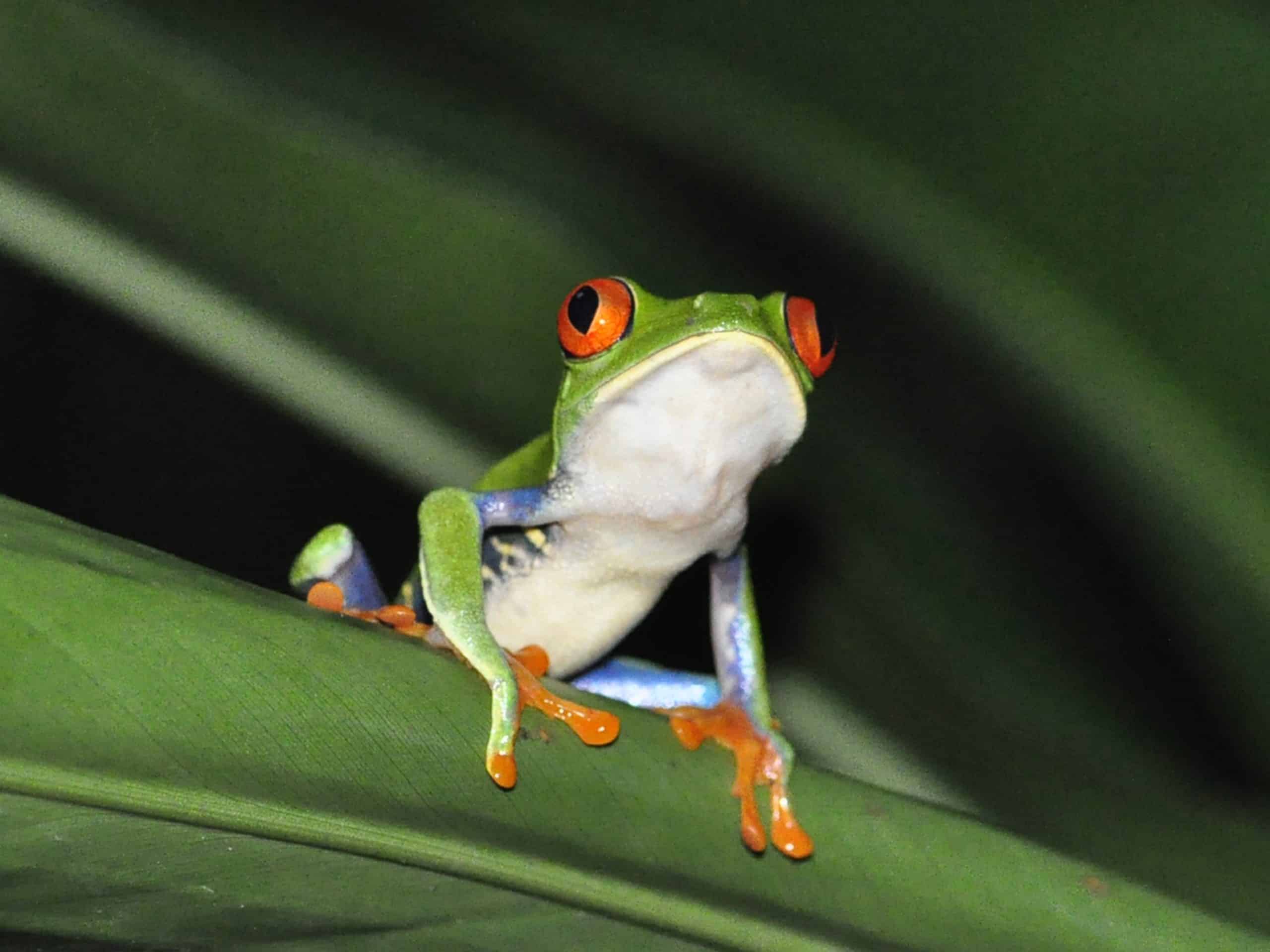 Costa Rica